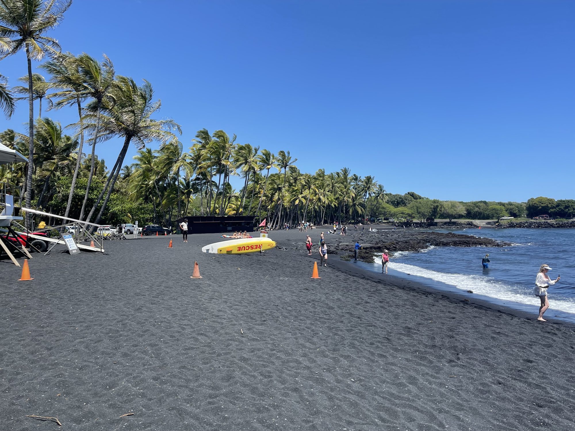 Punaluu black sand beach with palms on the Big Island