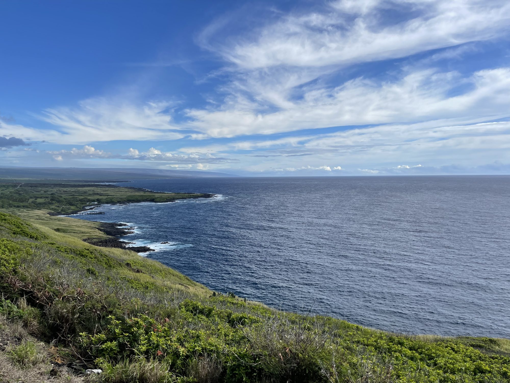 Green North Kohala coastline meeting the Pacific