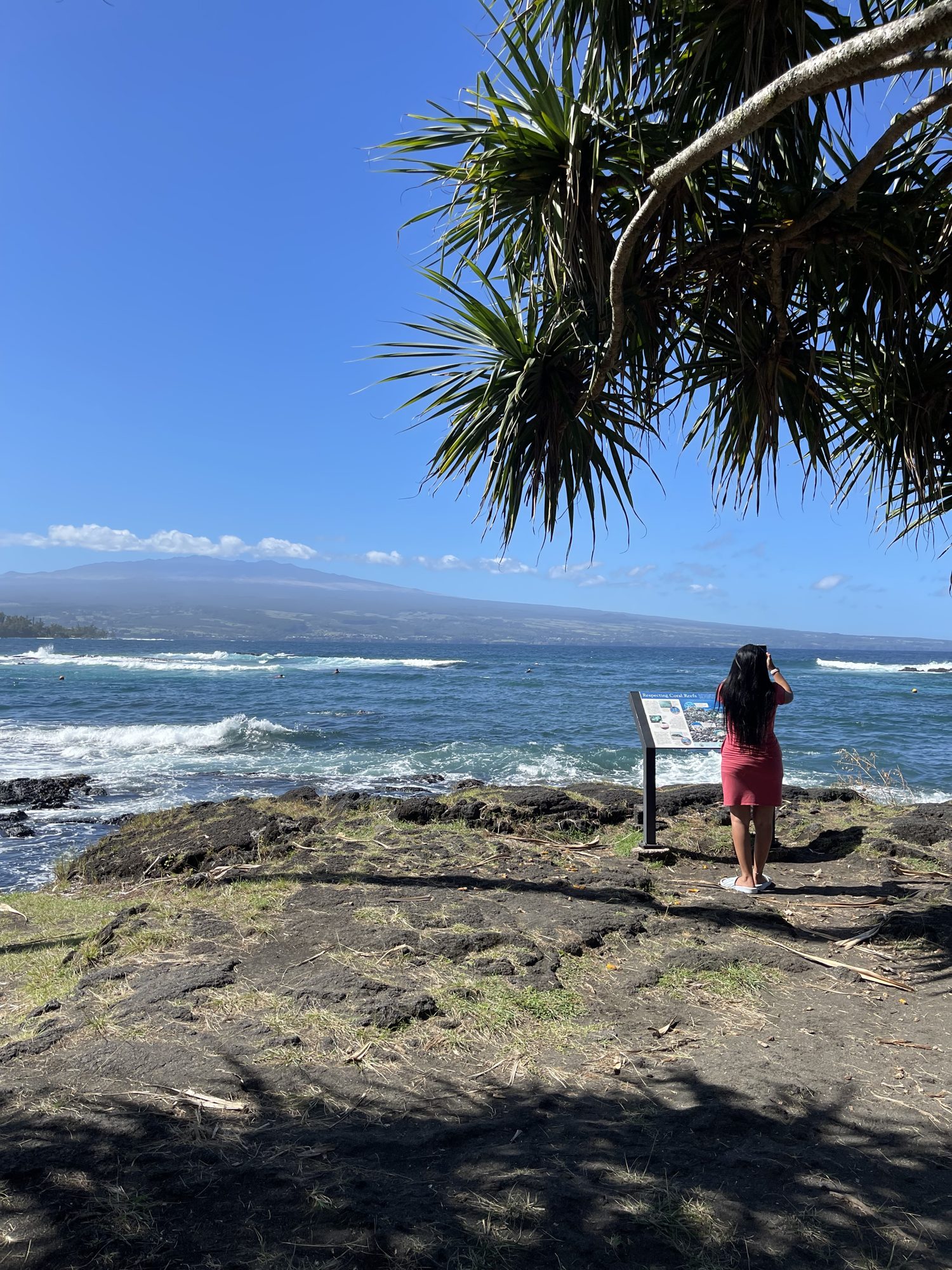 Guest looking out over the Kona coastline beneath a hala tree